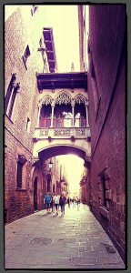 130530_BCN_carrer_bisbe_259