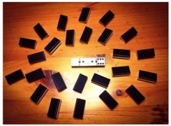 Petit_140125_domino_447