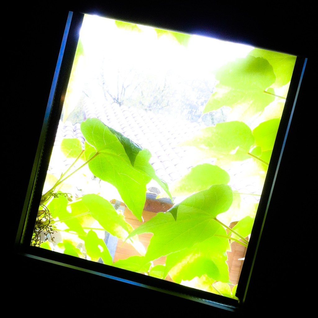 140425_finestra_155