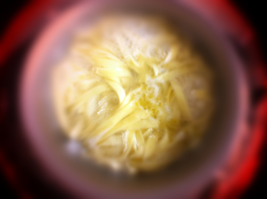 140624_pasta_003