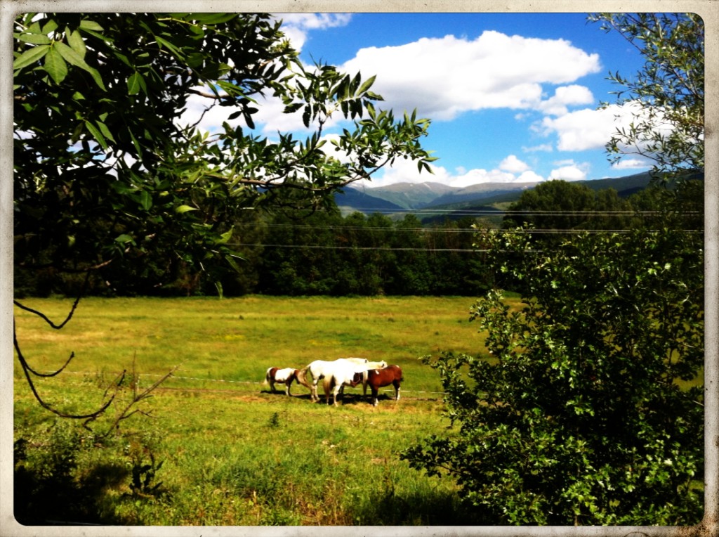 140630_cerdanya_028