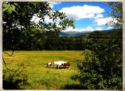 Petit_140630_cerdanya_028