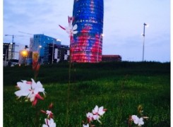 Petit_150527_torre_agbar_328