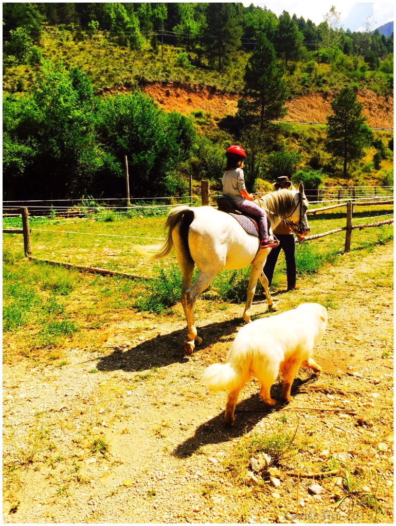 Excursió a cavall