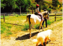 Excursió a cavall