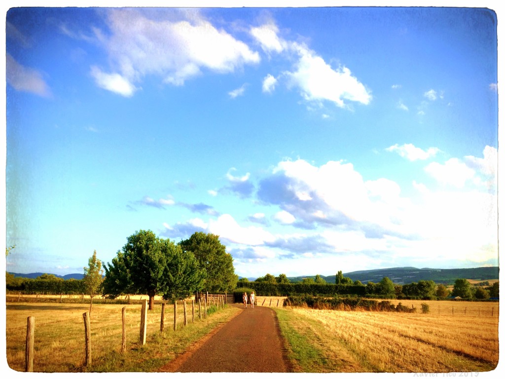 Camí rural